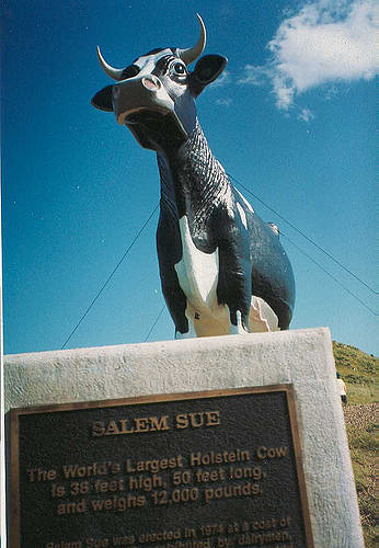 26594614_615d3e9496_z