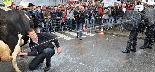 3987640026_1e273a9843_o