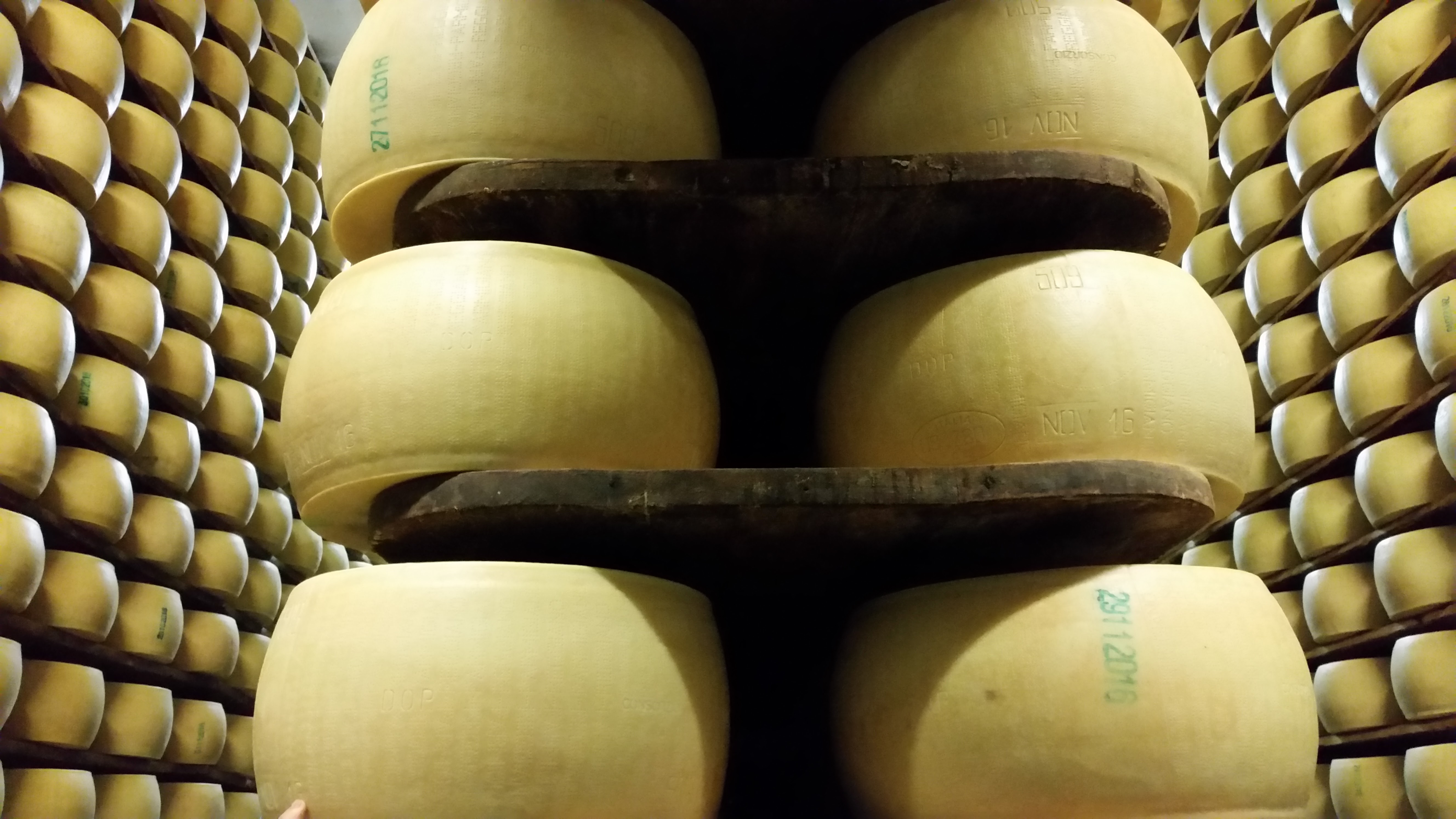 509 parmigiano reggiano aging