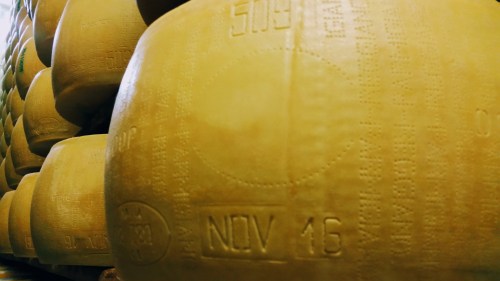 509 parmigiano reggiano no export brand