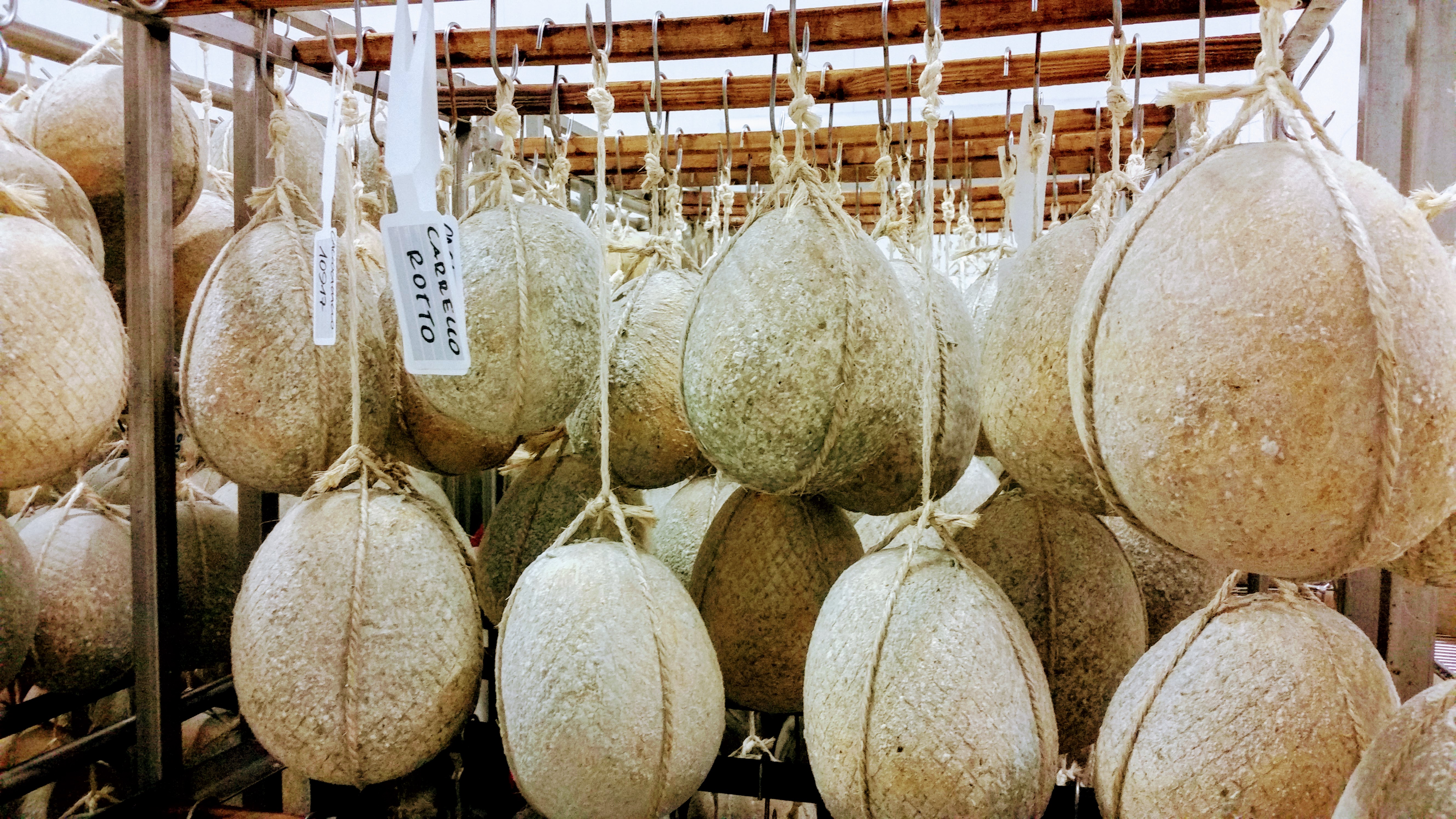 buffalo caciocavallo