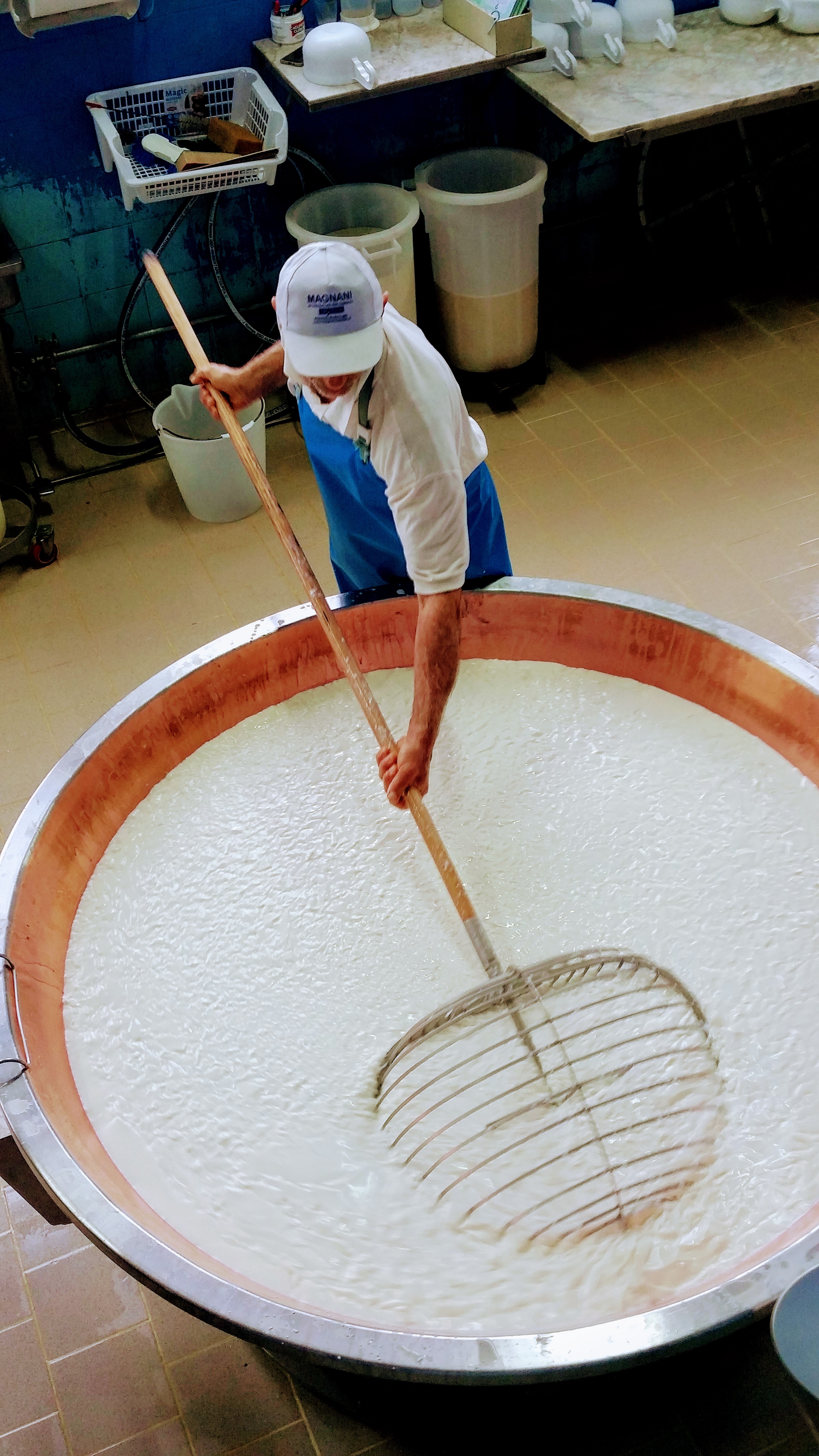 cutting parm regg curds