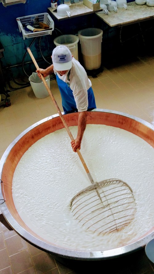 cutting parm regg curds