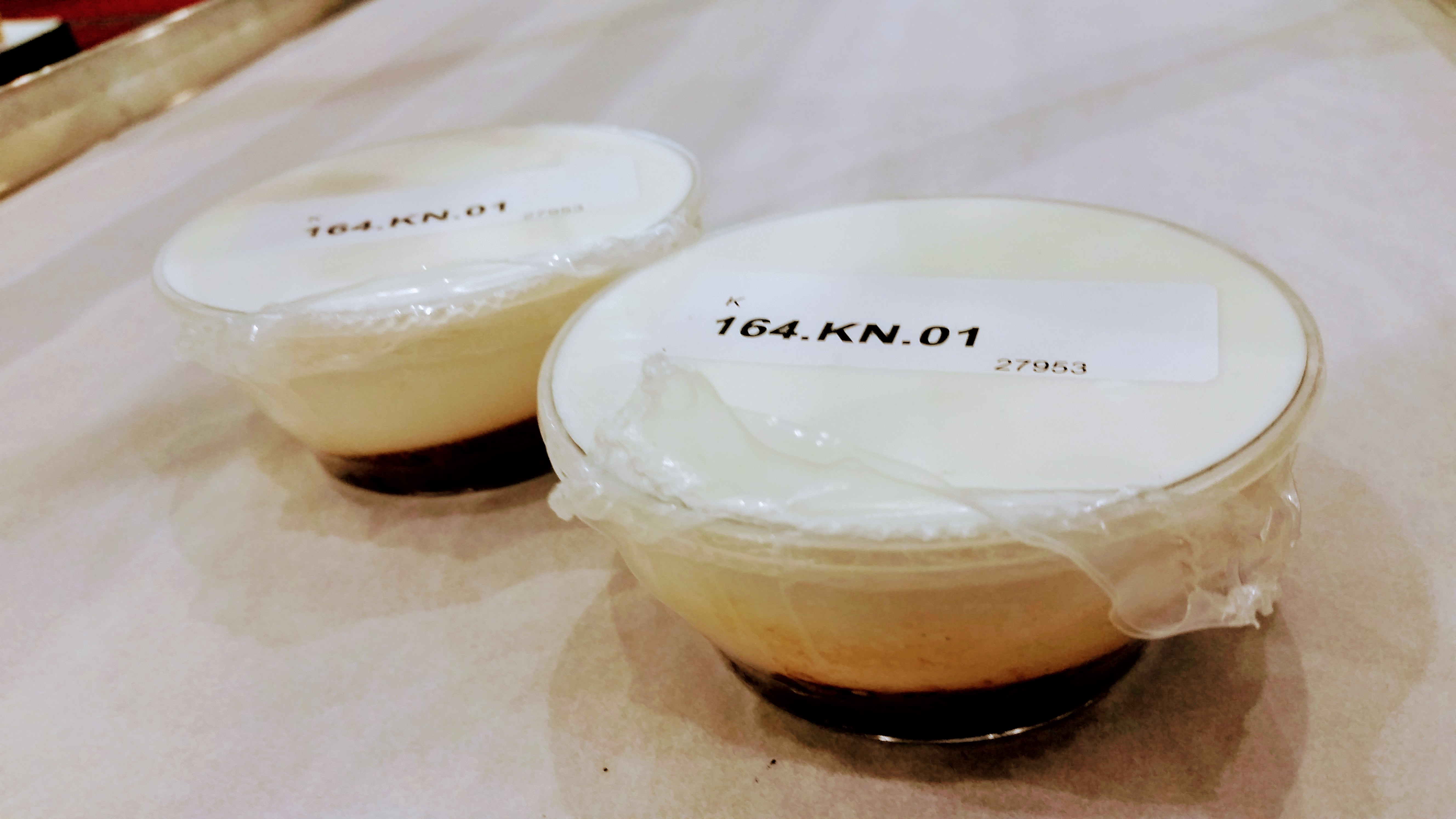 tequila cheese acs 2017